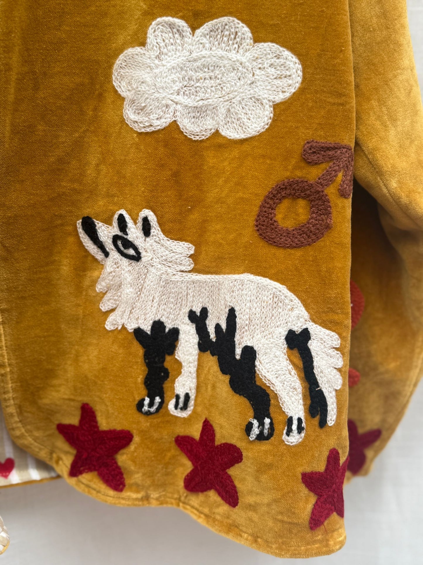 Velvet Jacket taurus