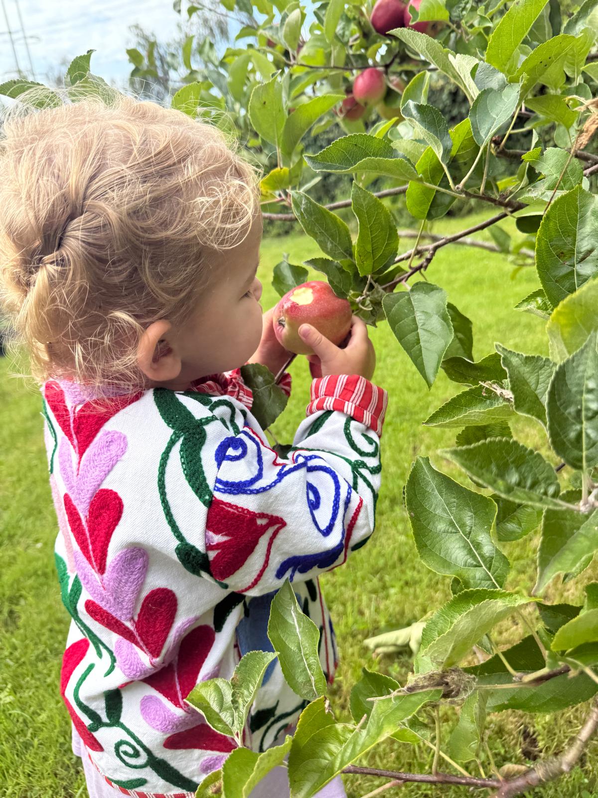 Cotton embroidery KIDS jacket flowers