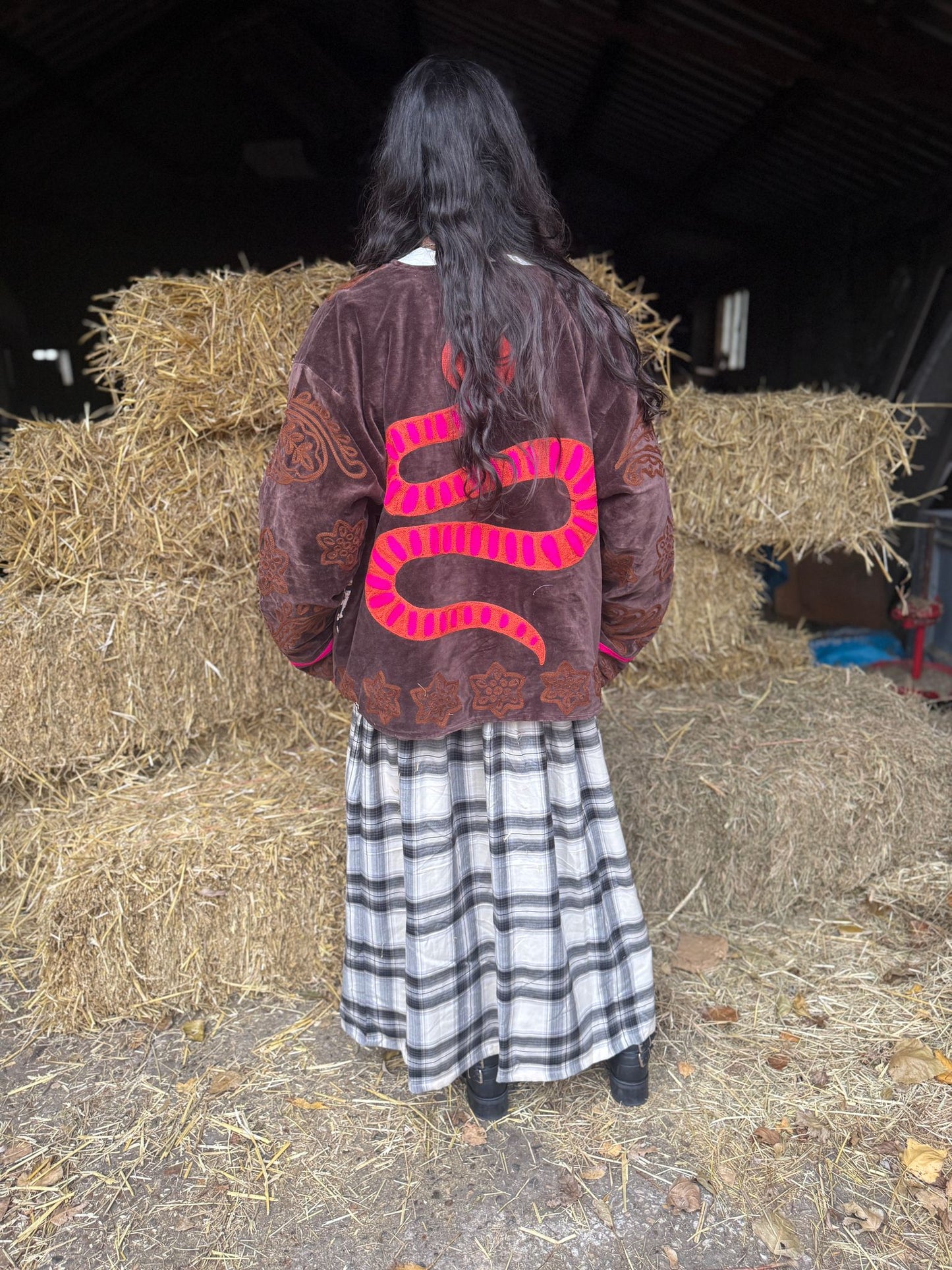 Snake Velvet embroidery jacket