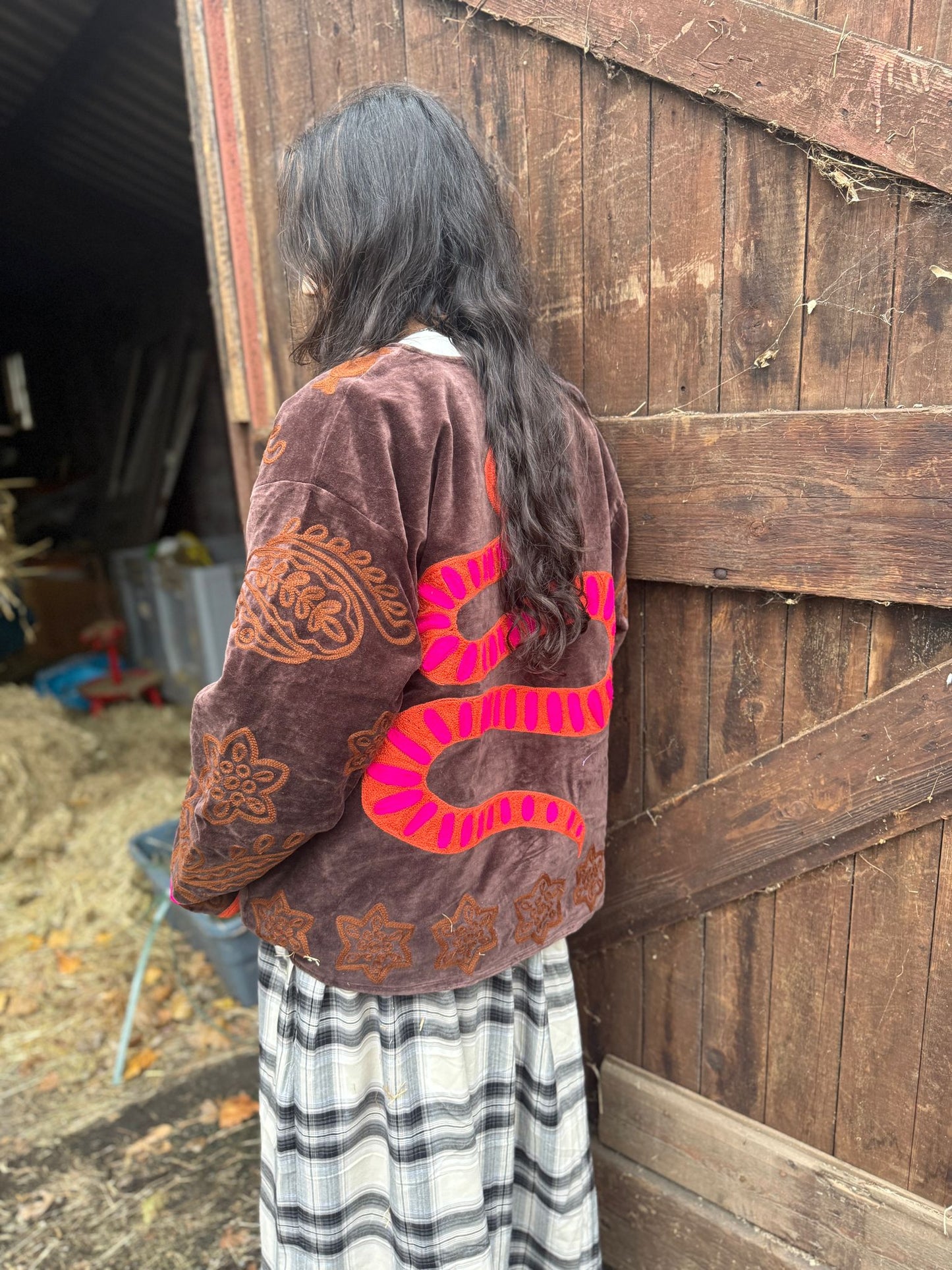 Snake Velvet embroidery jacket