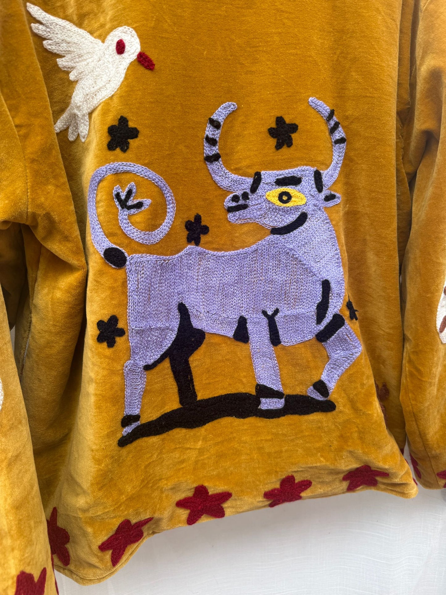 Velvet Jacket taurus