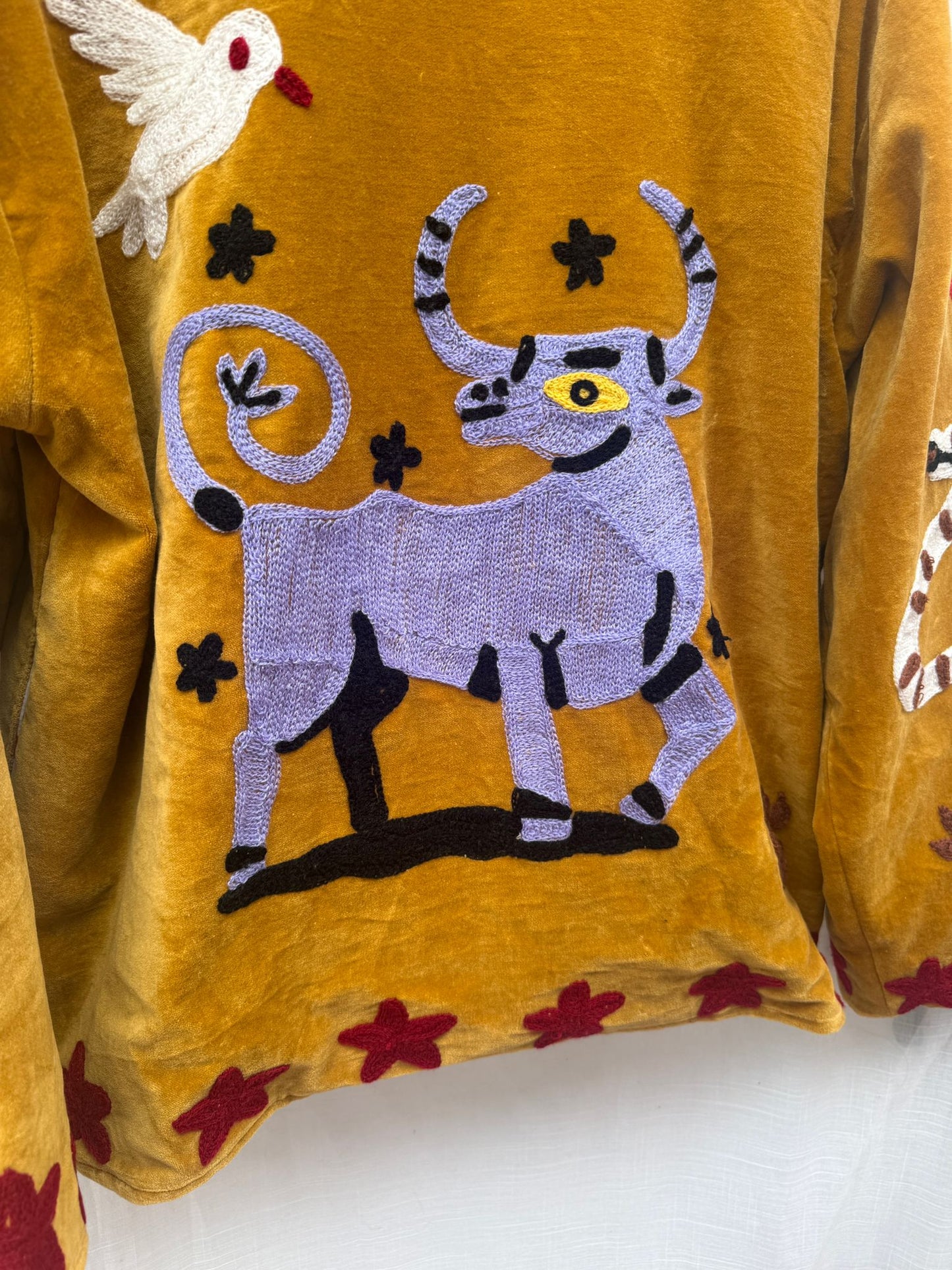 Velvet Jacket taurus